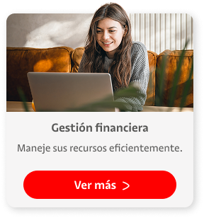 Gestión Financiera